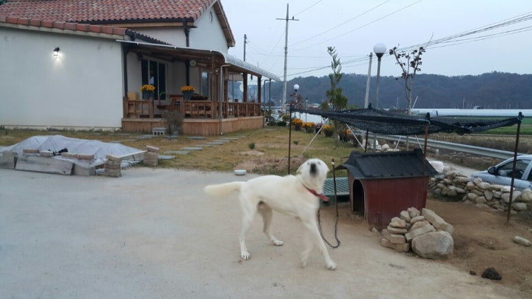 복등건축인테리어 이미지