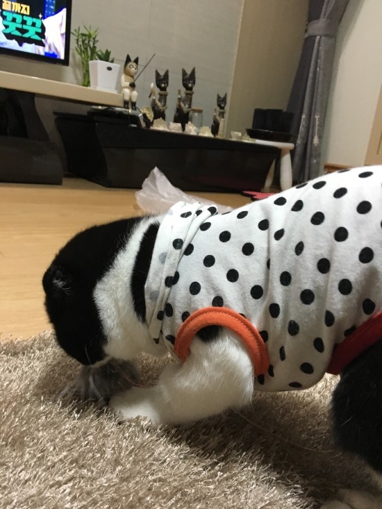 놀아줘 이미지