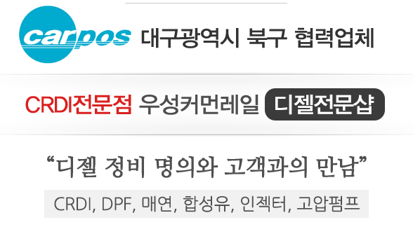 우성커먼레일 이미지