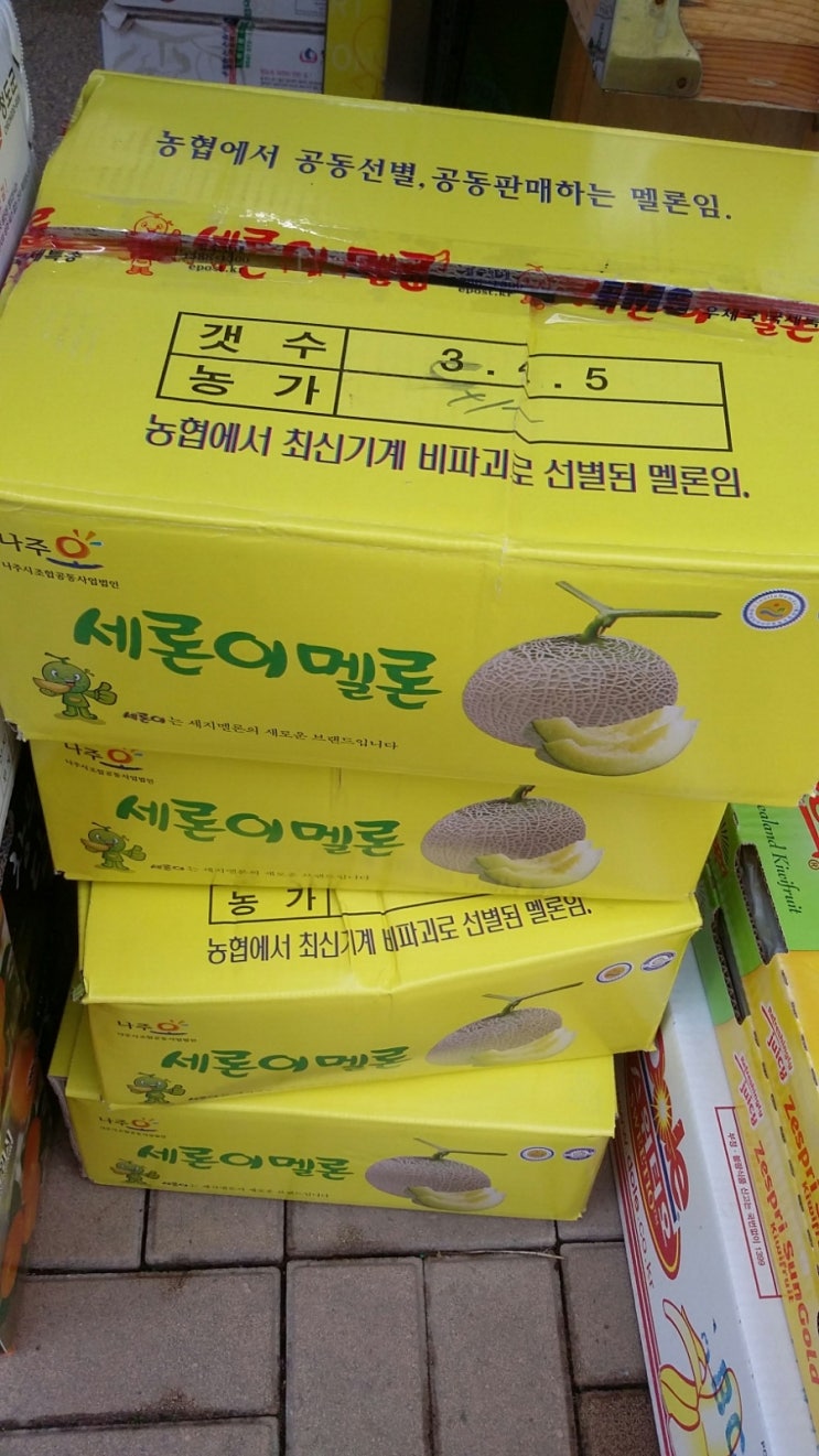 통통과일 이미지