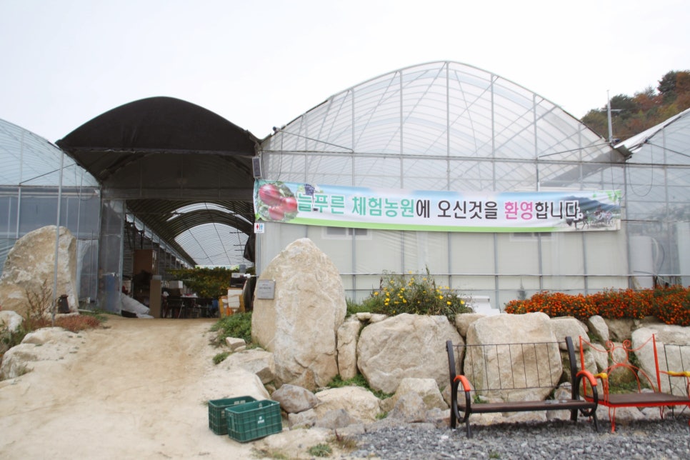 법인늘푸른농장 이미지