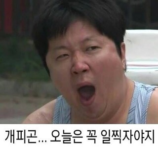피자코코 이미지