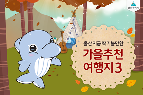 대성익스프레스 이미지