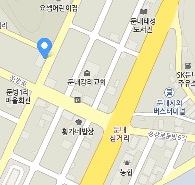심우향 이미지