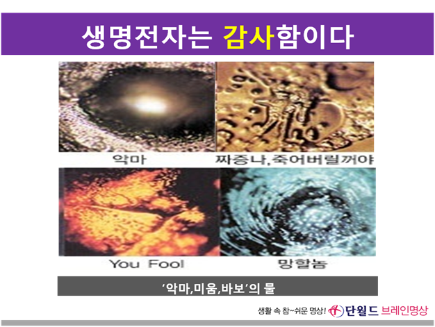 다지음 이미지