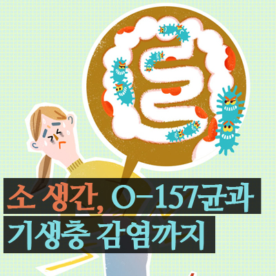 소 생간, O-157균과 기생충 감염까지 : 네이버 블로그