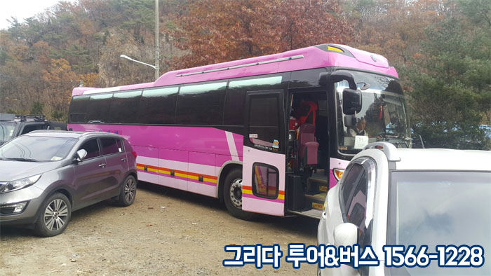 그리다투어&버스 이미지