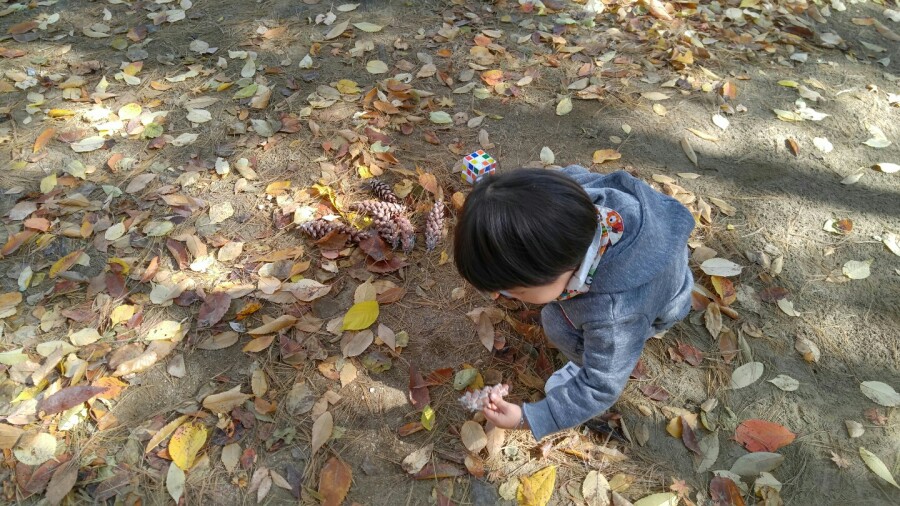 큐브마트 이미지