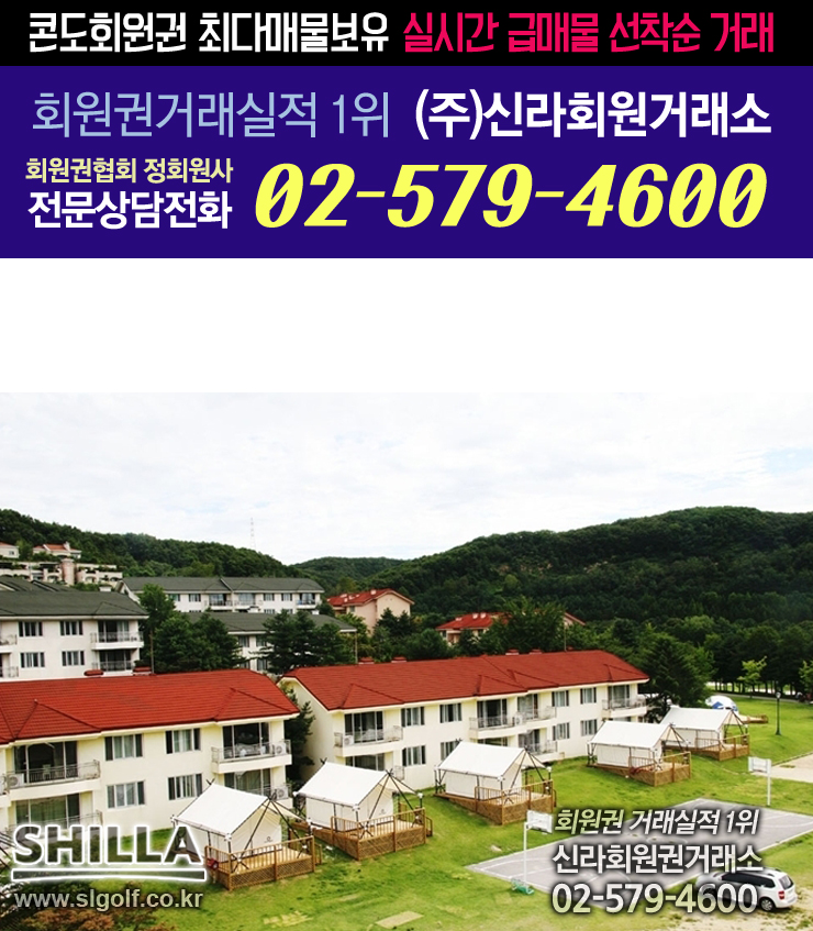 와이에스인베스트먼트 이미지