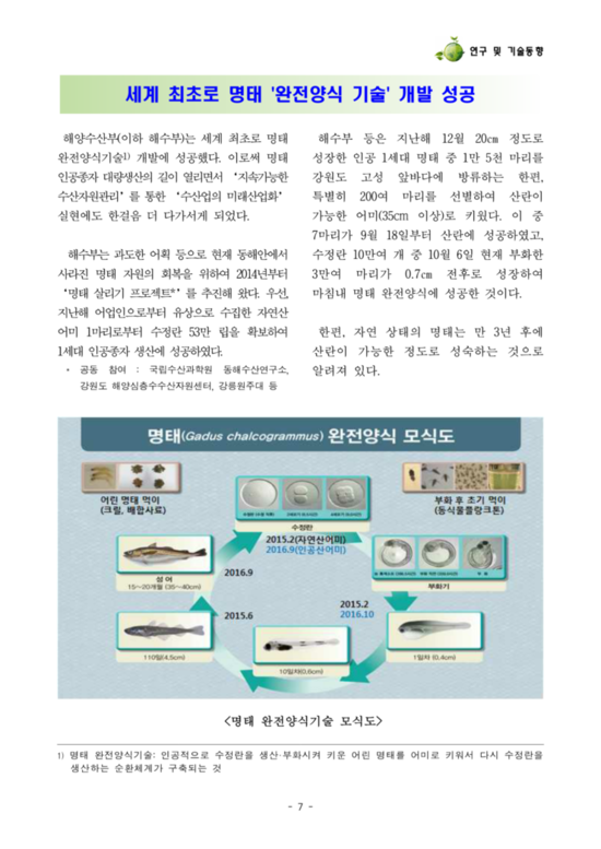 대한수산 이미지