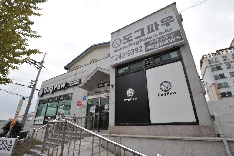 도그파우 이미지