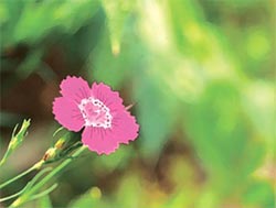 달아한잔 이미지