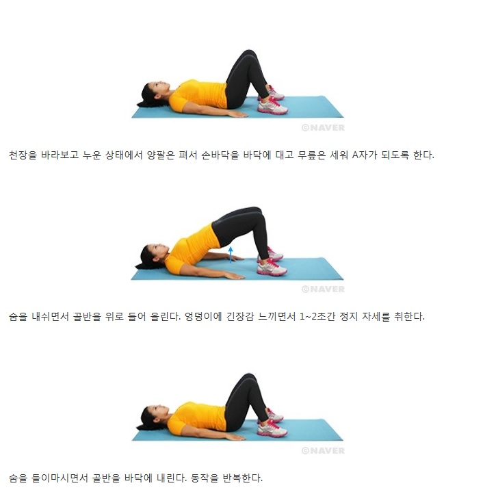 브릿지 이미지