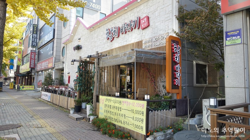참치바라기 이미지