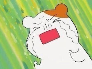 라인미 이미지