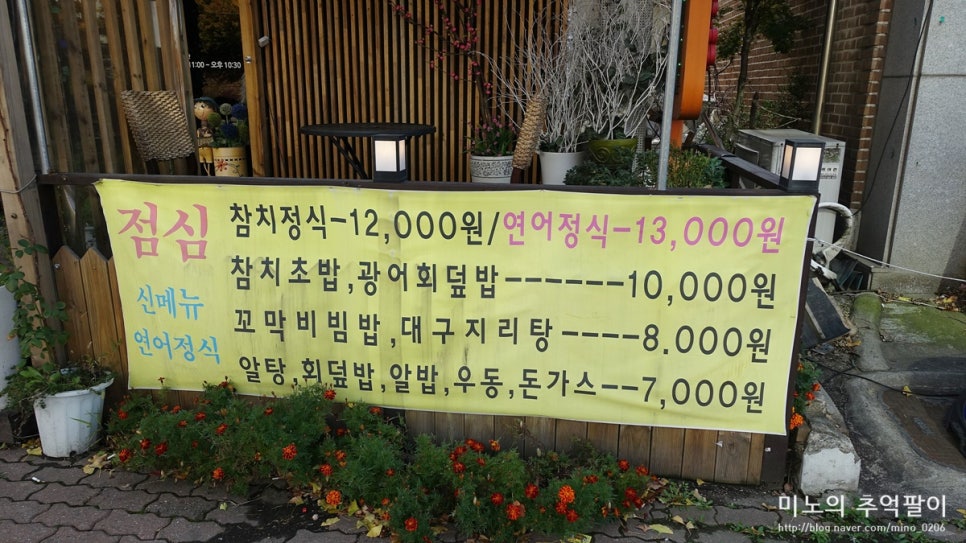 참치바라기 이미지