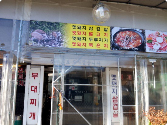 오림포멧돼지 이미지