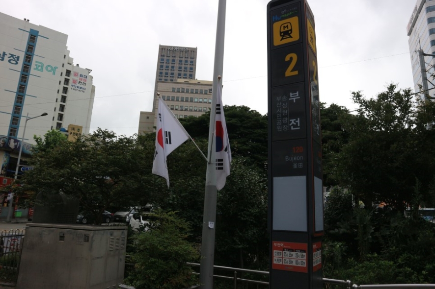 피그맘 이미지