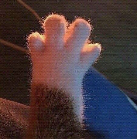 제주하우스 이미지