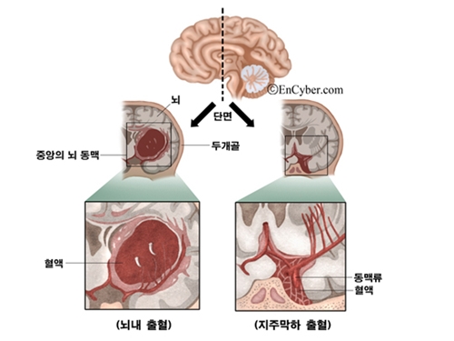 대송한의원 이미지