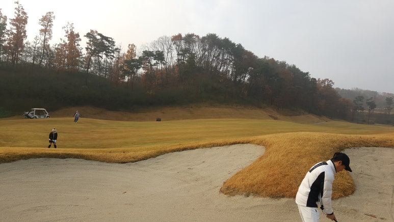 진양센타 이미지