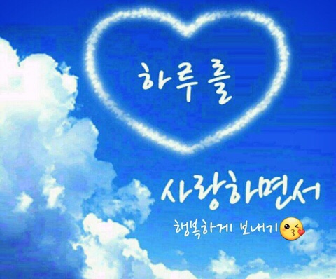 오징어데이 이미지