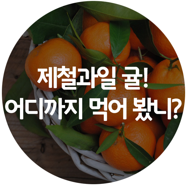 쁘띠레시피 이미지