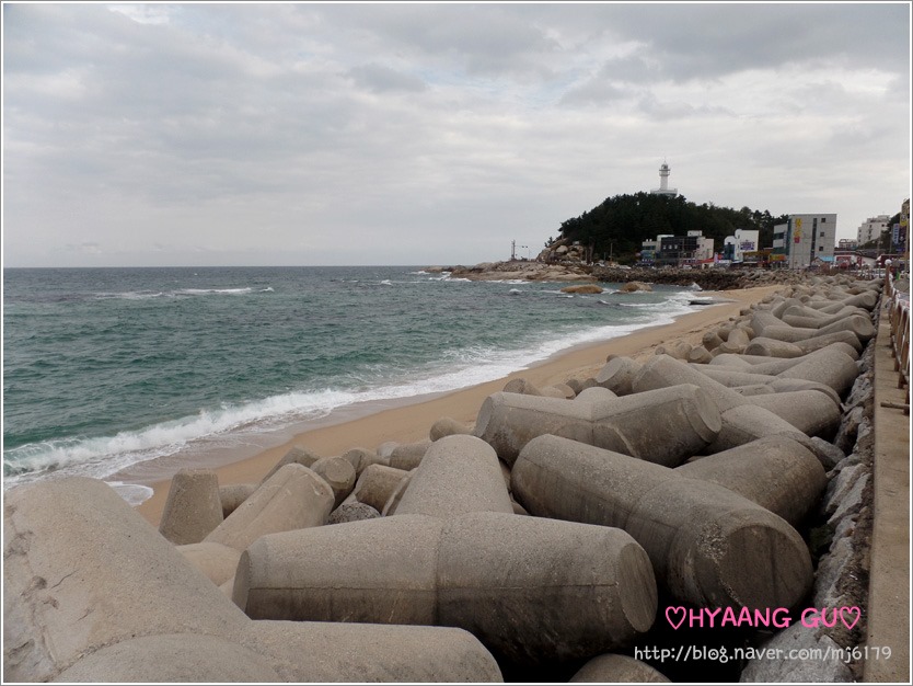 홍게#포차 이미지