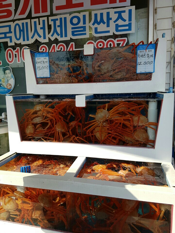포항초장집 이미지