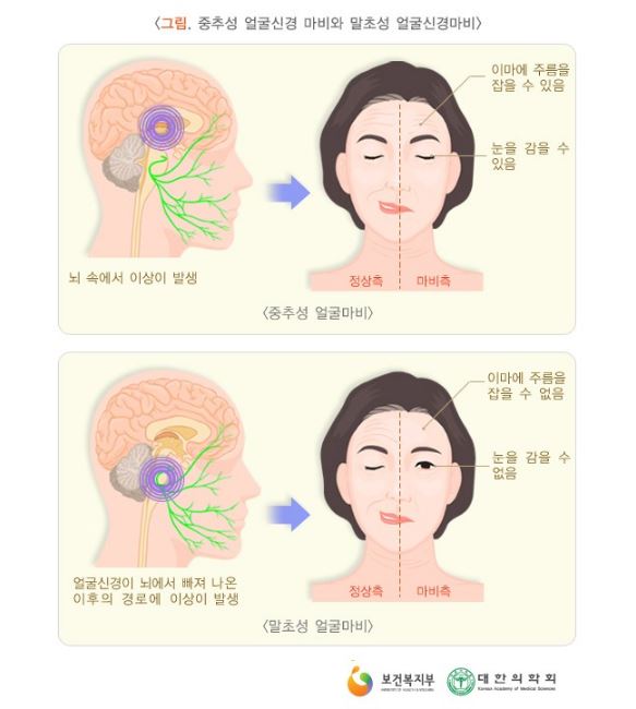 느티나무한의원 이미지