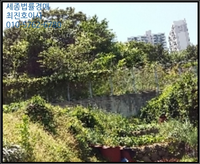 영도통상 이미지