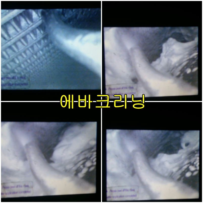 더월드카크리닝 이미지