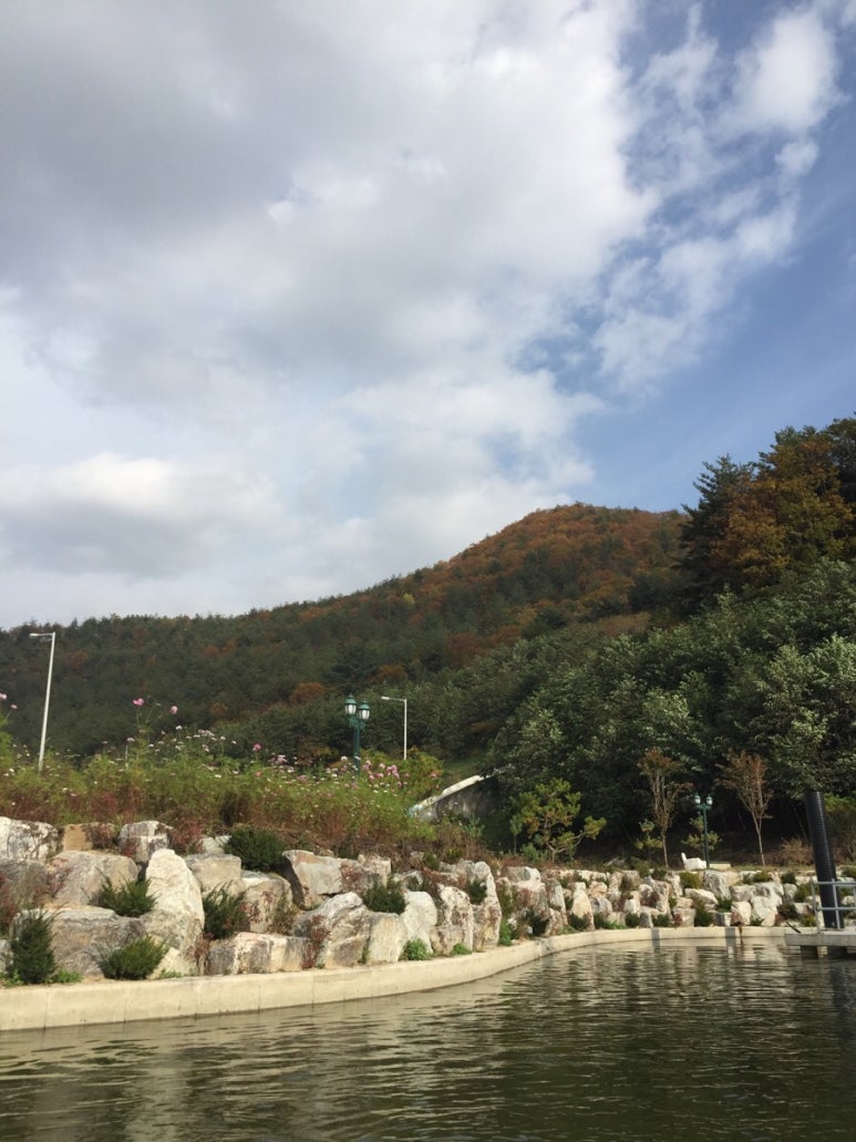 풀빌라펜션드위트리-1 이미지