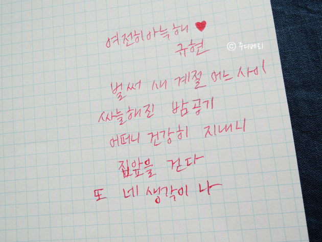 제트라인 이미지
