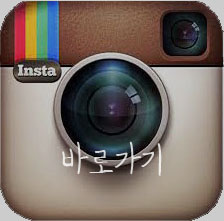 영플라워 이미지