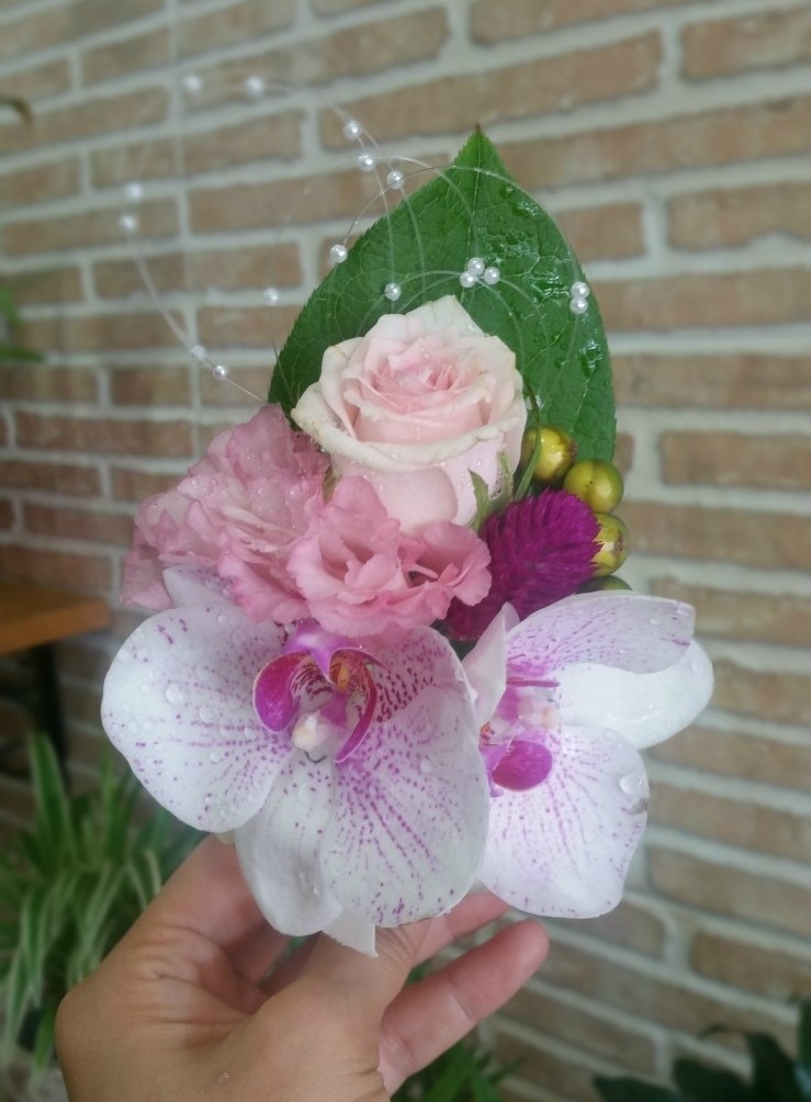 담쟁이화원 이미지