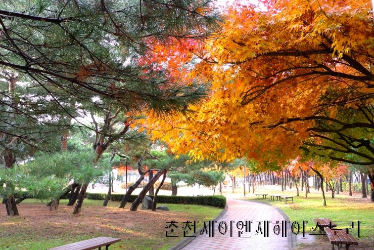 제이엔제이 미용실 이미지