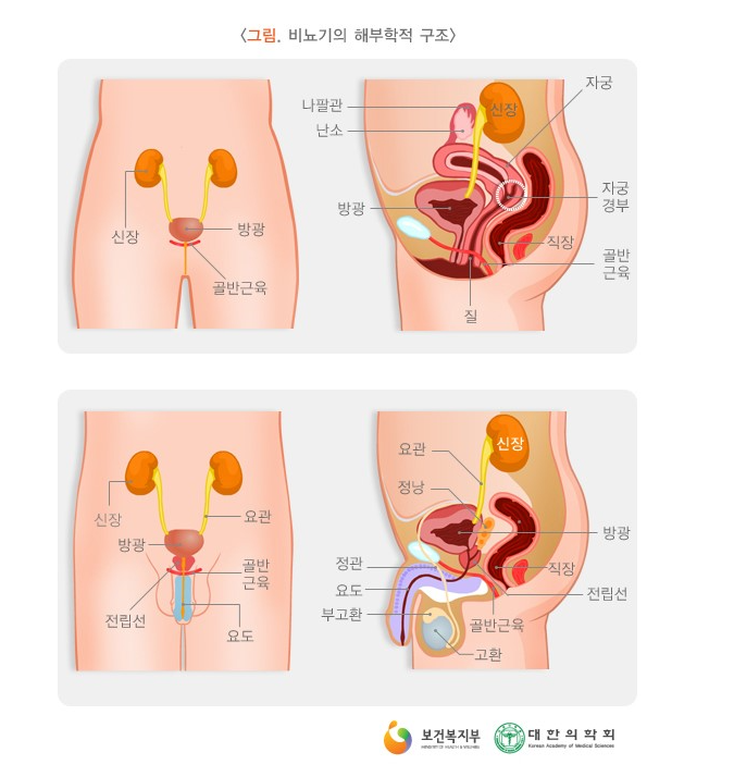 정한수비뇨기과 이미지