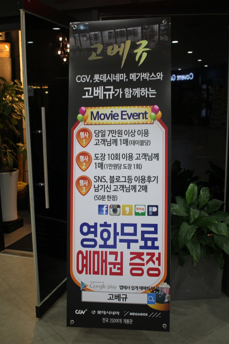 고베규 대표 사진