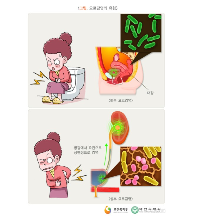 정한수비뇨기과 이미지