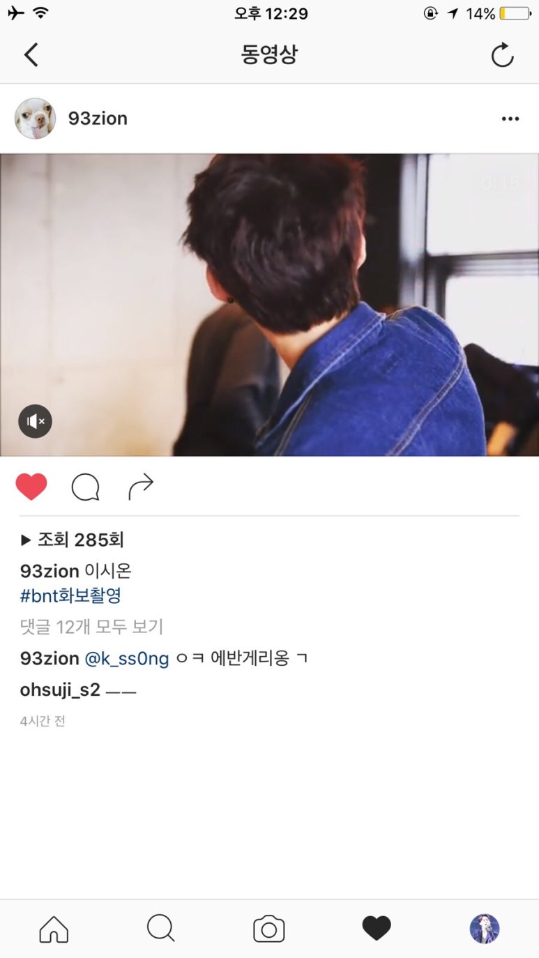 담시온 이미지