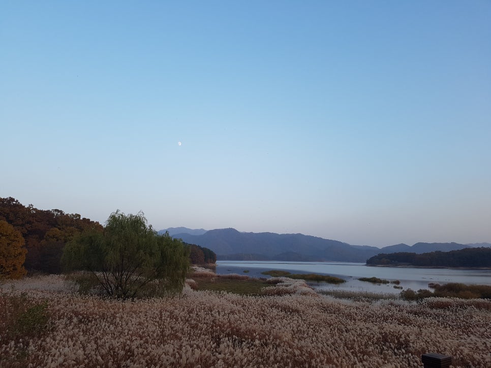 대화세무회계사무소 이미지