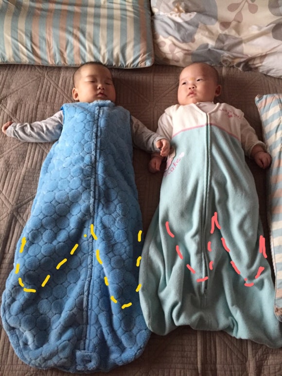 할로디자인 이미지
