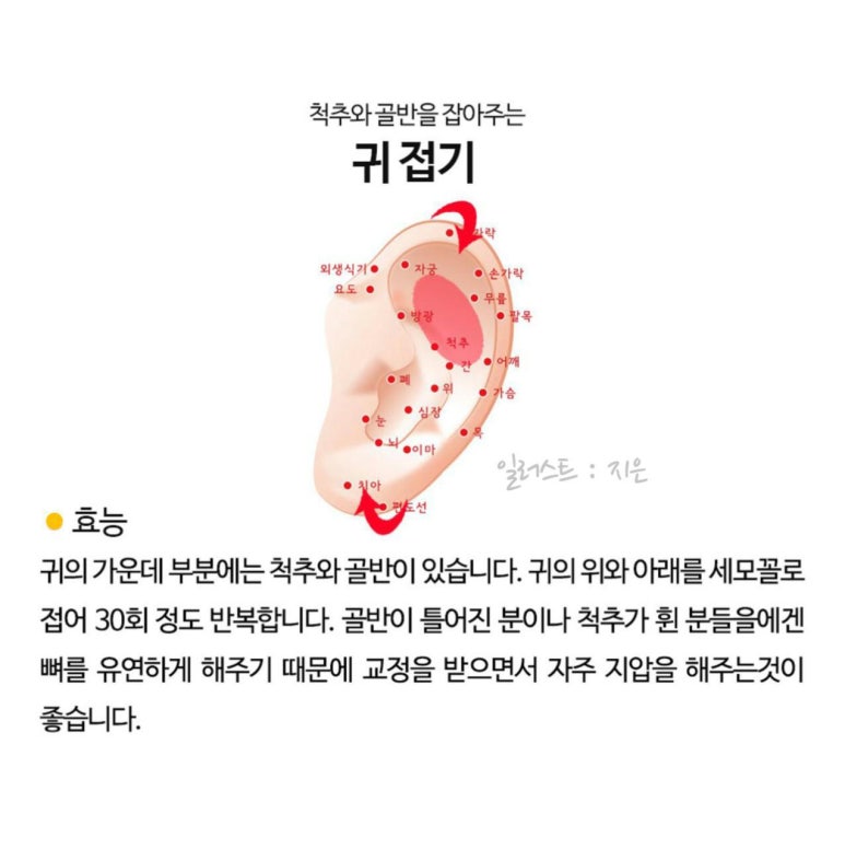 뜨렌비 이미지