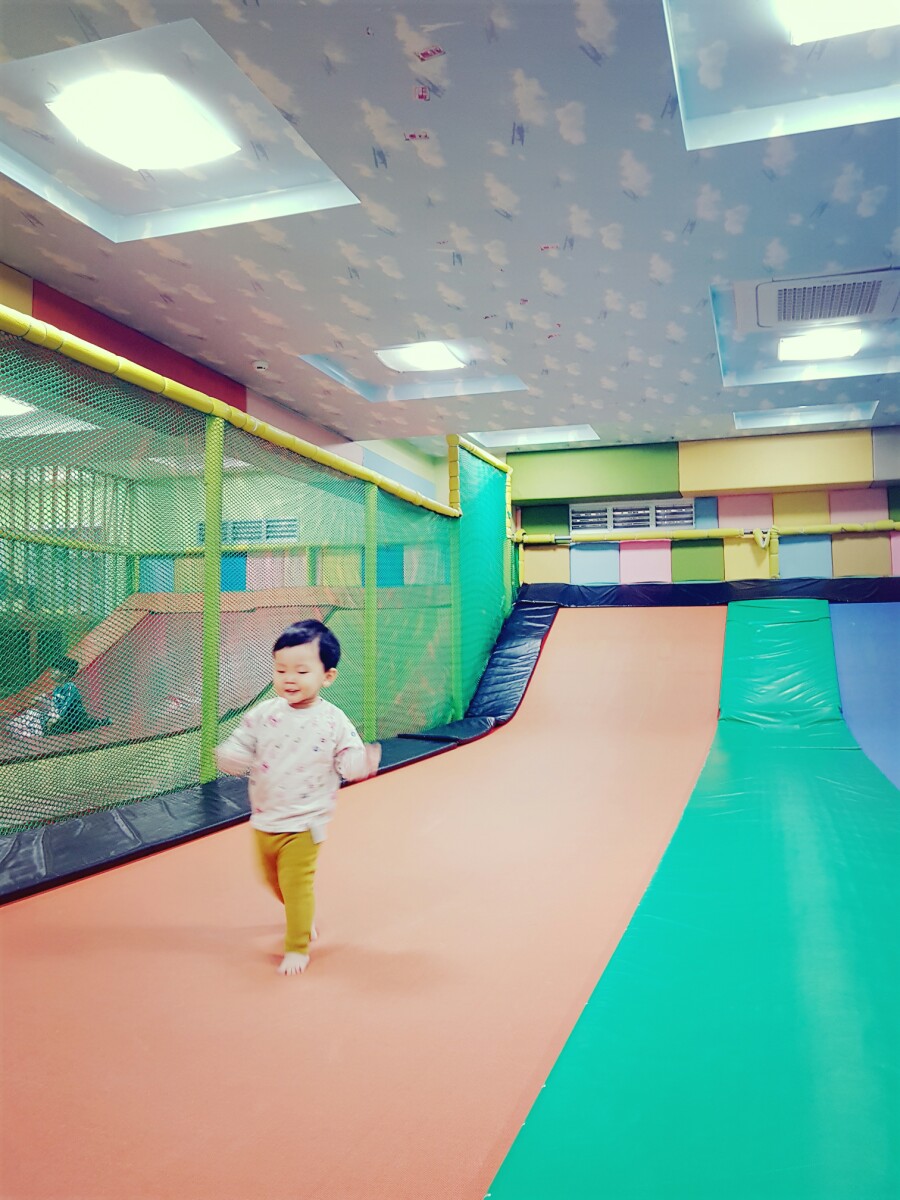 키크는 나무 이미지