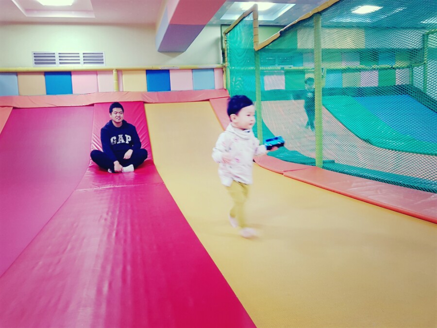 키크는 나무 이미지