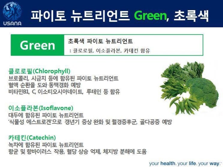 파이토뉴트리 이미지