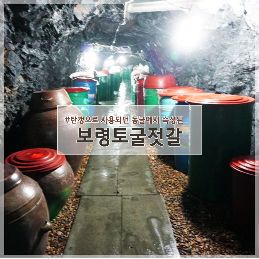 보령토굴젓갈 이미지