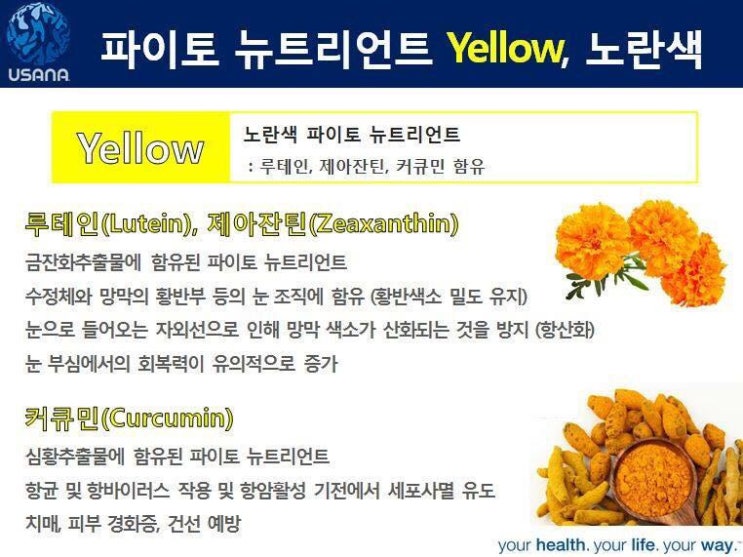 파이토뉴트리 이미지