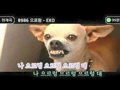 어굿플레이스 이미지